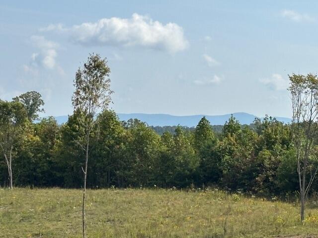 0 Otis Davis Road Pikeville, TN 37367 - Photo 2 of 14 IMG_8931