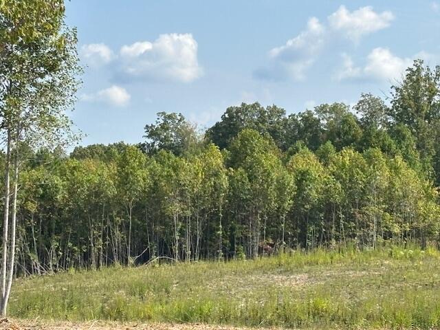 0 Otis Davis Road Pikeville, TN 37367 - Photo 3 of 14 IMG_8932