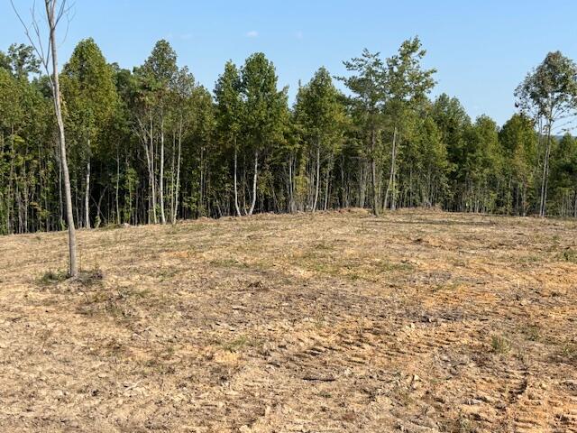 0 Otis Davis Road Pikeville, TN 37367 - Photo 4 of 14 IMG_8933