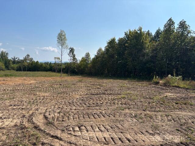 0 Otis Davis Road Pikeville, TN 37367 - Photo 5 of 14 IMG_8930