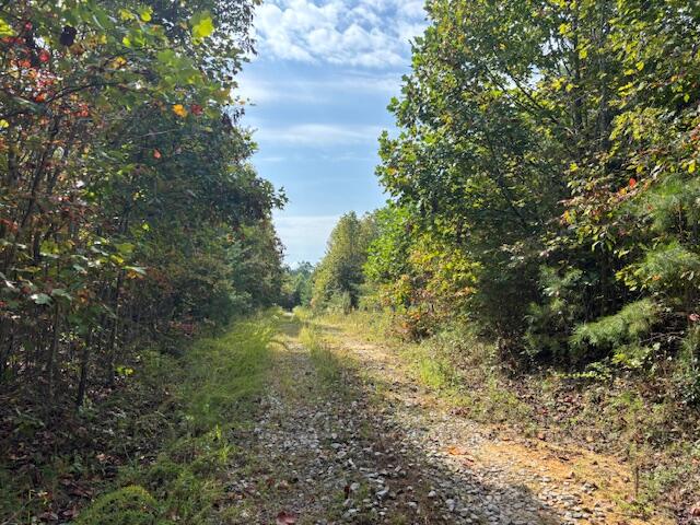 0 Otis Davis Road Pikeville, TN 37367 - Photo 6 of 14 IMG_8935