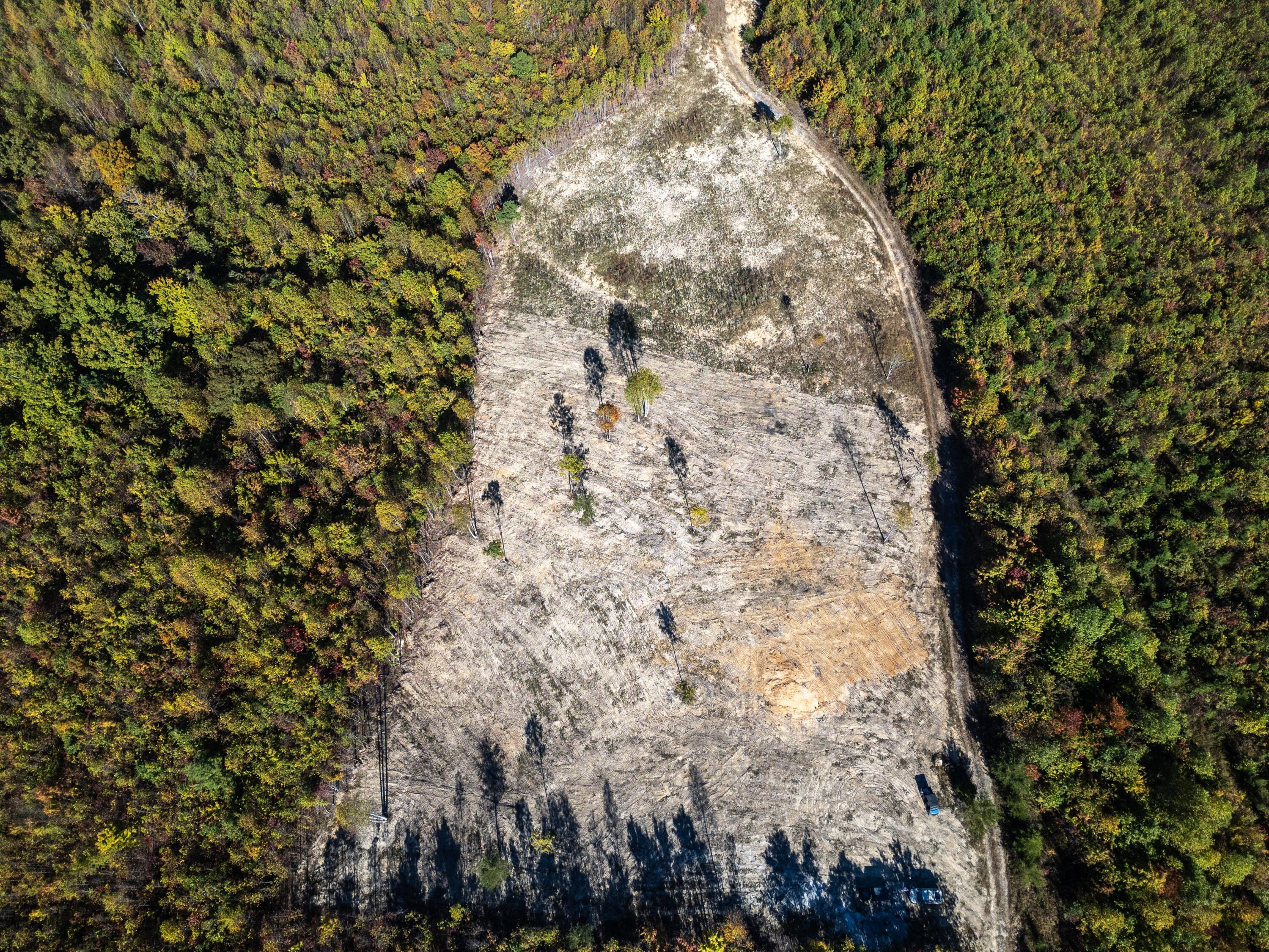 0 Otis Davis Road Pikeville, TN 37367 - Photo 8 of 14 DJI_0016