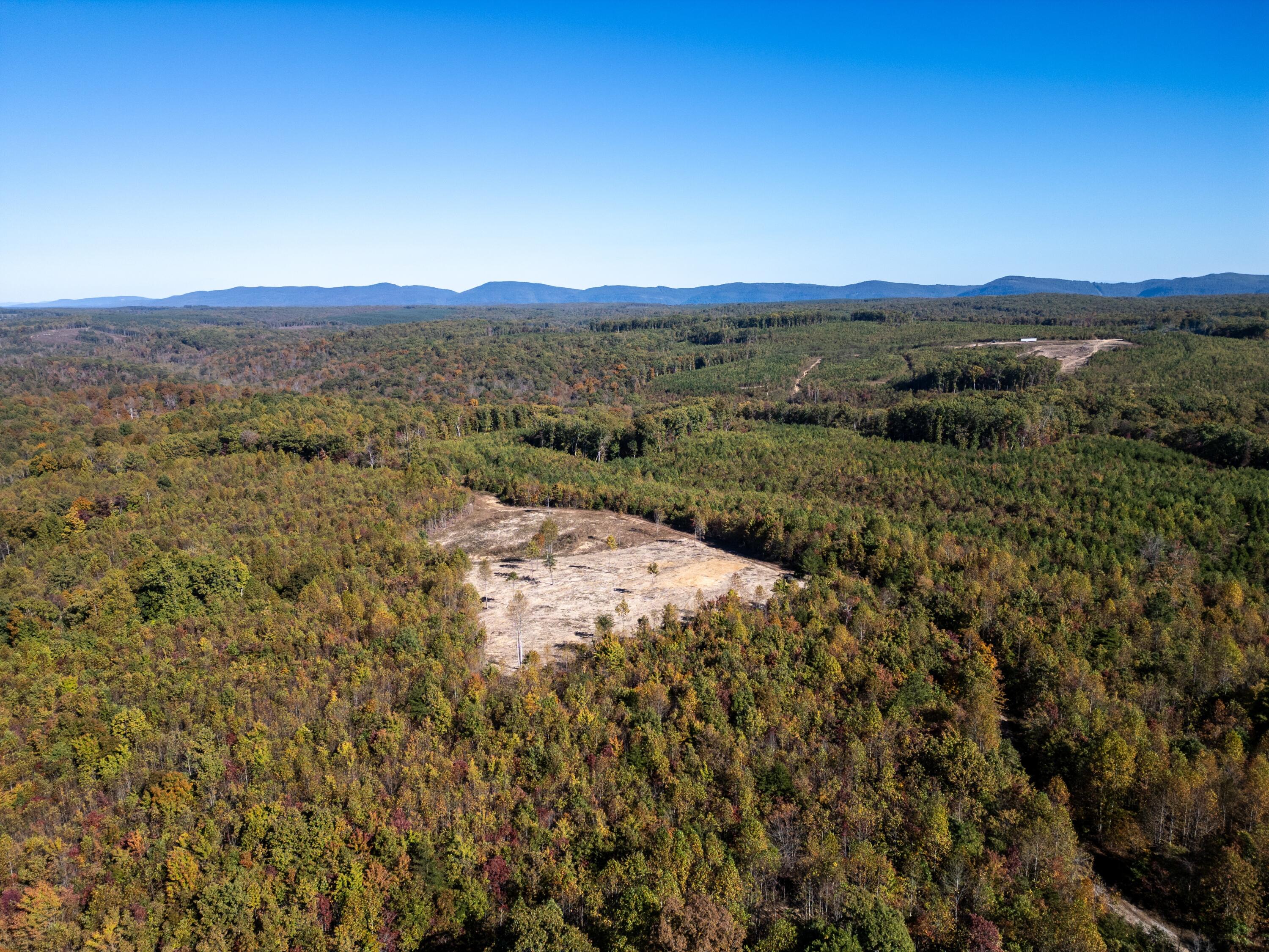 0 Otis Davis Road Pikeville, TN 37367 - Photo 9 of 14 DJI_0002