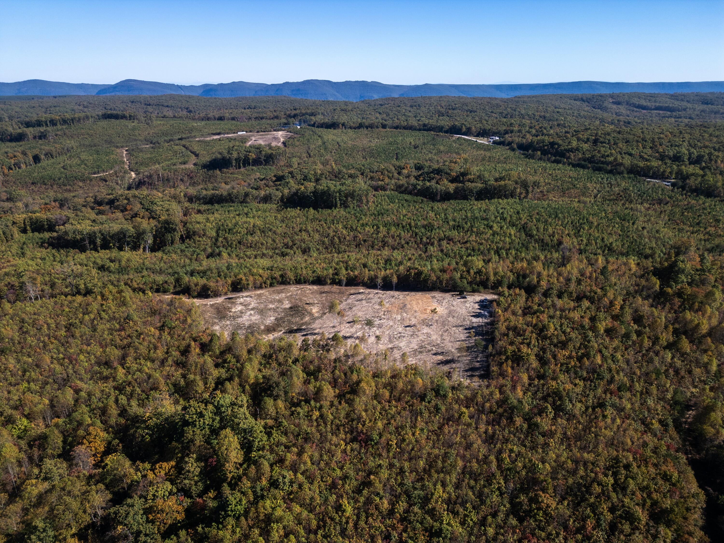 0 Otis Davis Road Pikeville, TN 37367 - Photo 10 of 14 DJI_0008