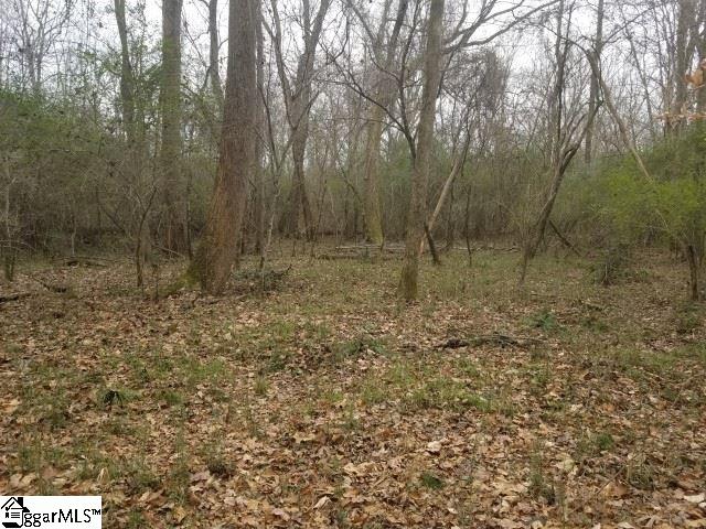 Ballenger Road Gray Court, SC 29645 - Photo 11 of 17