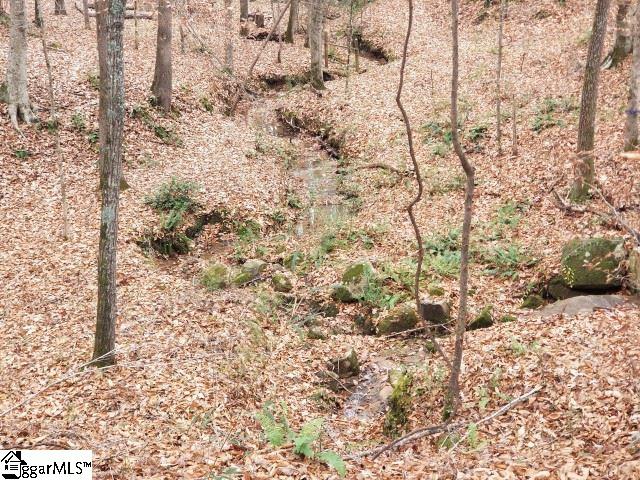 Ballenger Road Gray Court, SC 29645 - Photo 15 of 17