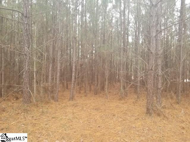 Ballenger Road Gray Court, SC 29645 - Photo 16 of 17