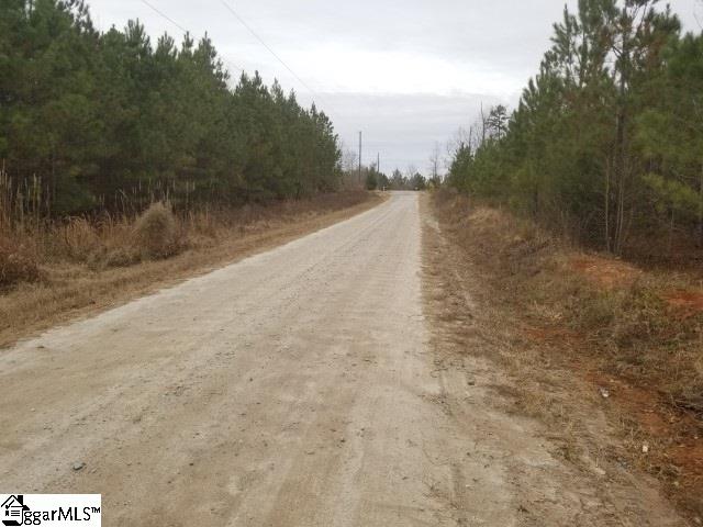 Ballenger Road Gray Court, SC 29645 - Photo 3 of 17