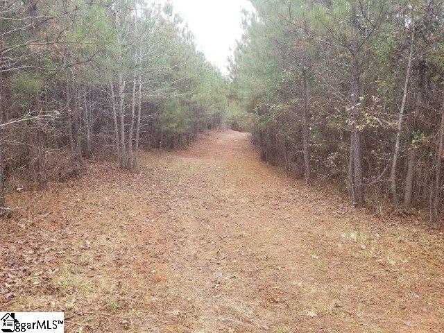 Ballenger Road Gray Court, SC 29645 - Photo 4 of 17