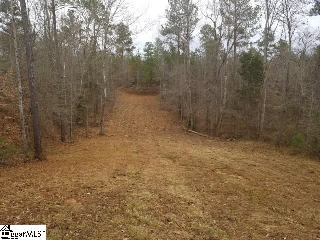 Ballenger Road Gray Court, SC 29645 - Photo 5 of 17
