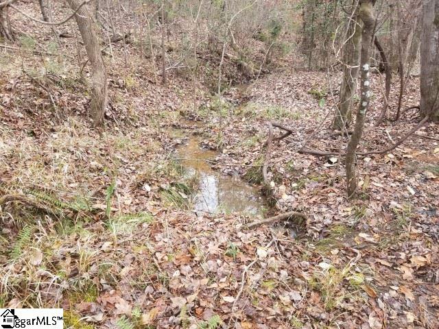 Ballenger Road Gray Court, SC 29645 - Photo 6 of 17