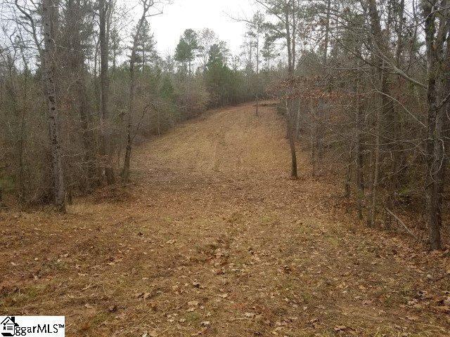 Ballenger Road Gray Court, SC 29645 - Photo 7 of 17
