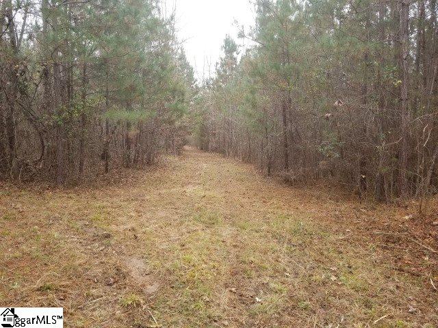 Ballenger Road Gray Court, SC 29645 - Photo 8 of 17