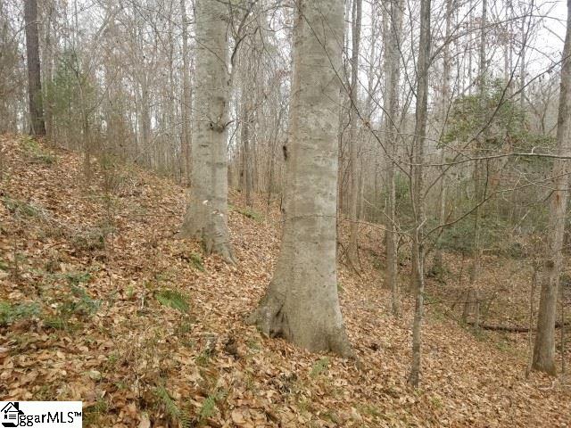 Ballenger Road Gray Court, SC 29645 - Photo 9 of 17