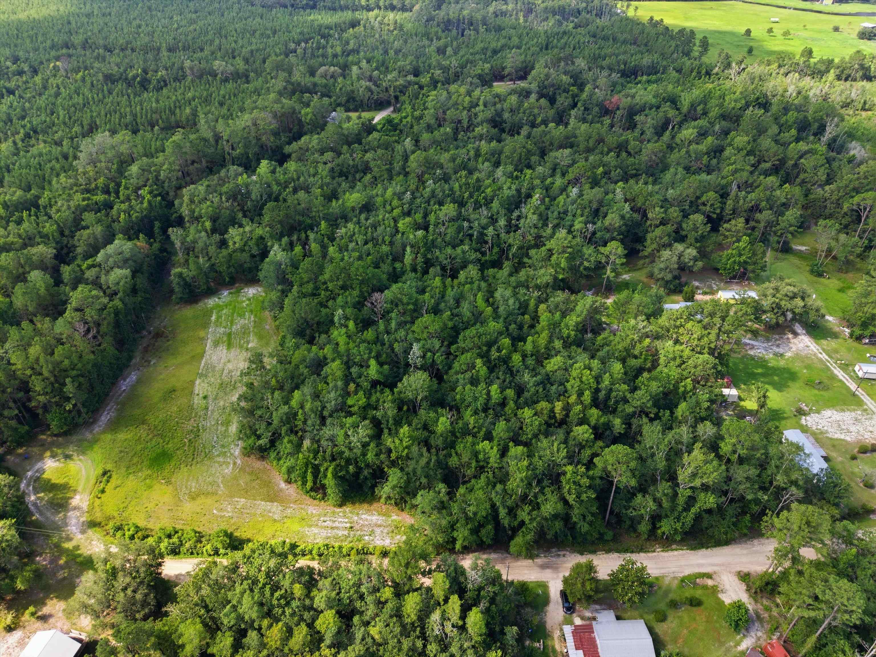 Xxx Neely Road Monticello, FL 32344 - Photo 21 of 37