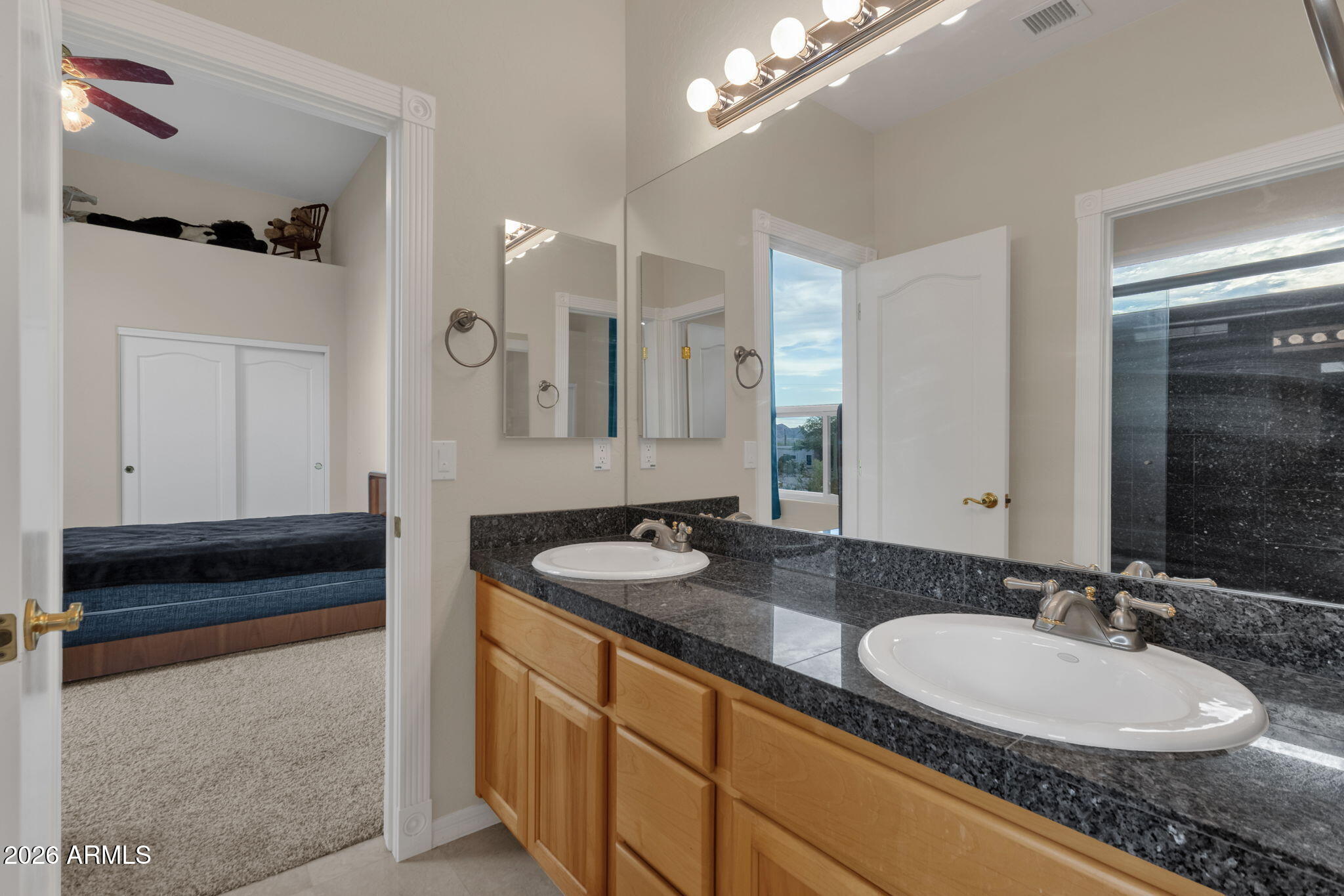 2564 North Charlebois Road Apache Junction, AZ 85119 - Photo 42 of 154 Dual Entry Bath
