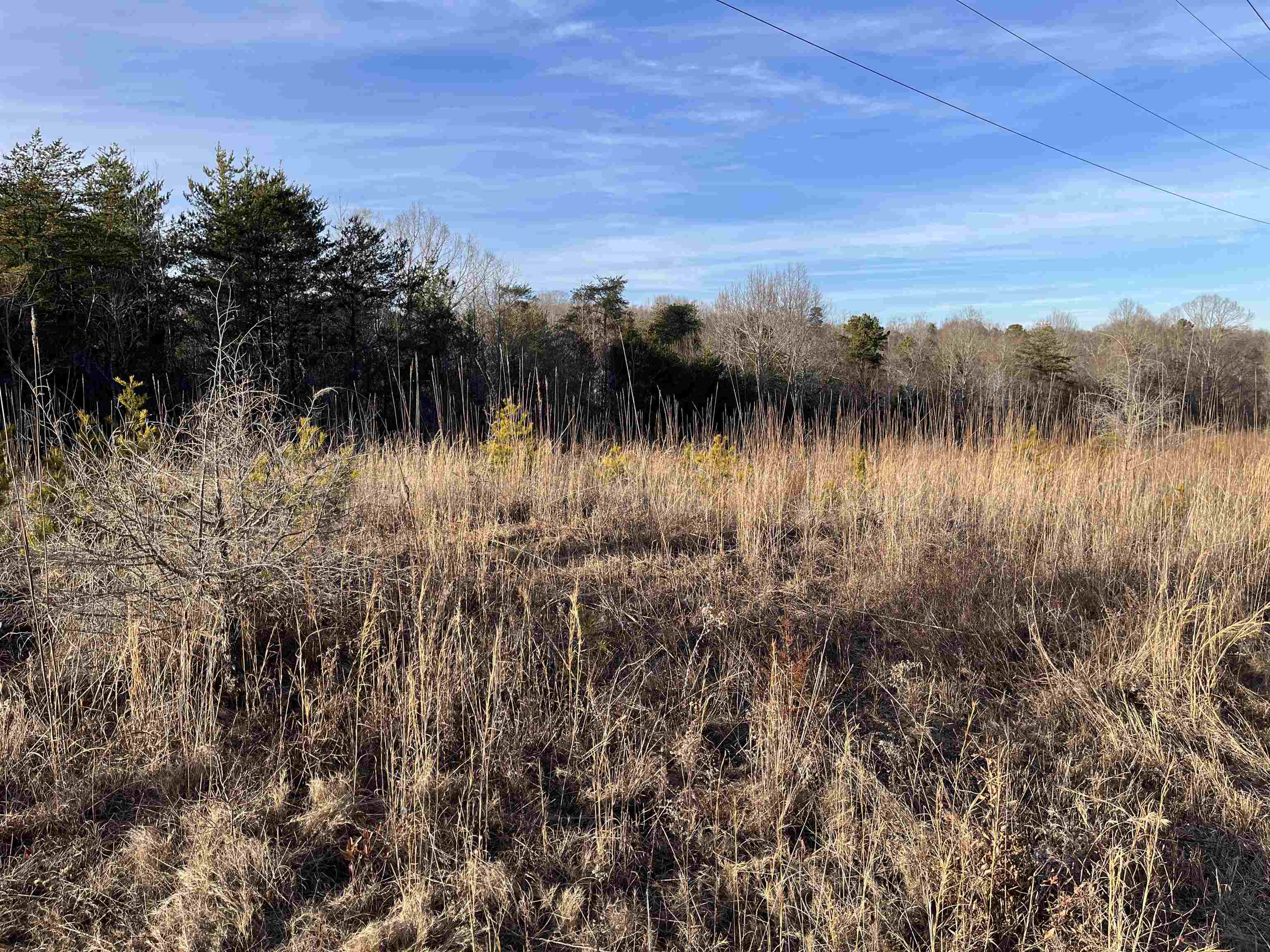 0 Zion Church Road Pacolet, SC 29372 - Photo 14 of 16