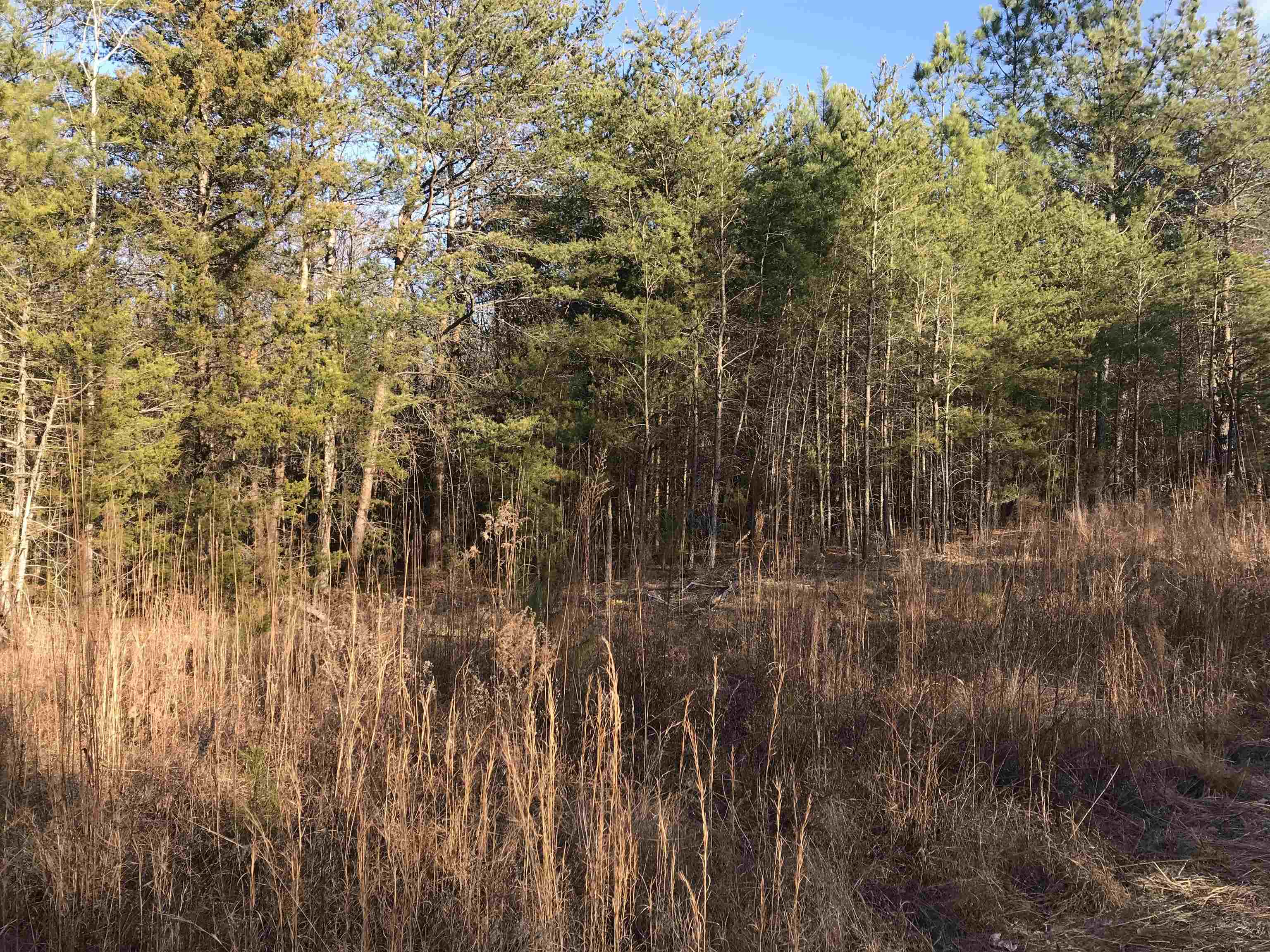 0 Zion Church Road Pacolet, SC 29372 - Photo 2 of 16