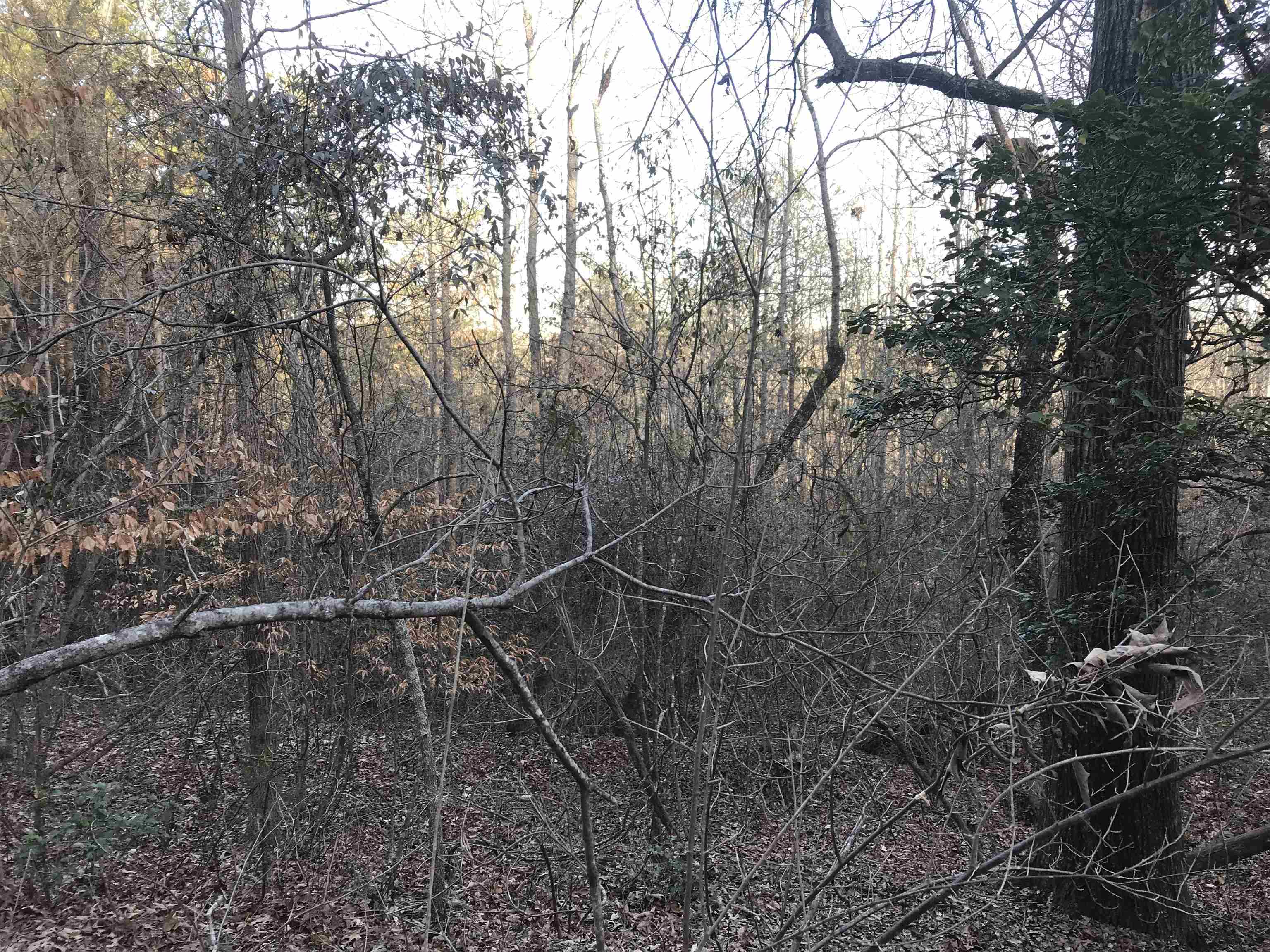 0 Zion Church Road Pacolet, SC 29372 - Photo 6 of 16
