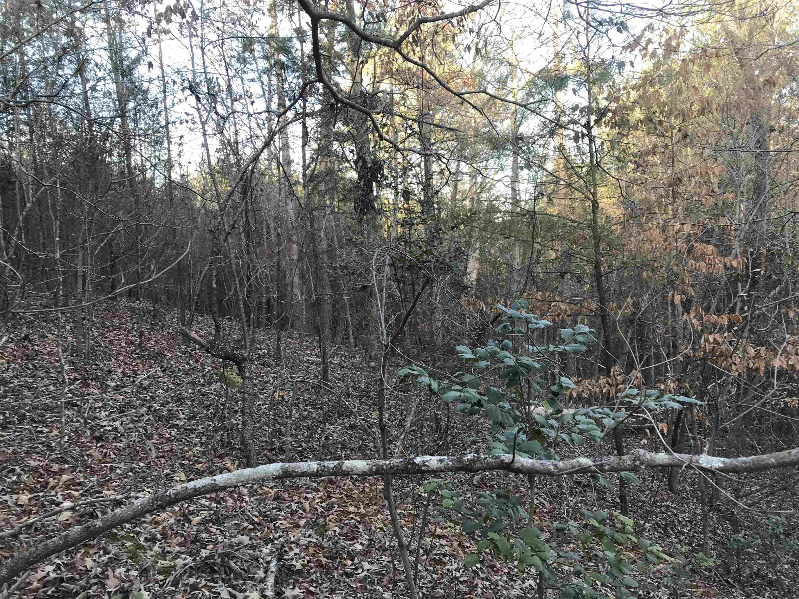 0 Zion Church Road Pacolet, SC 29372 - Photo 7 of 16