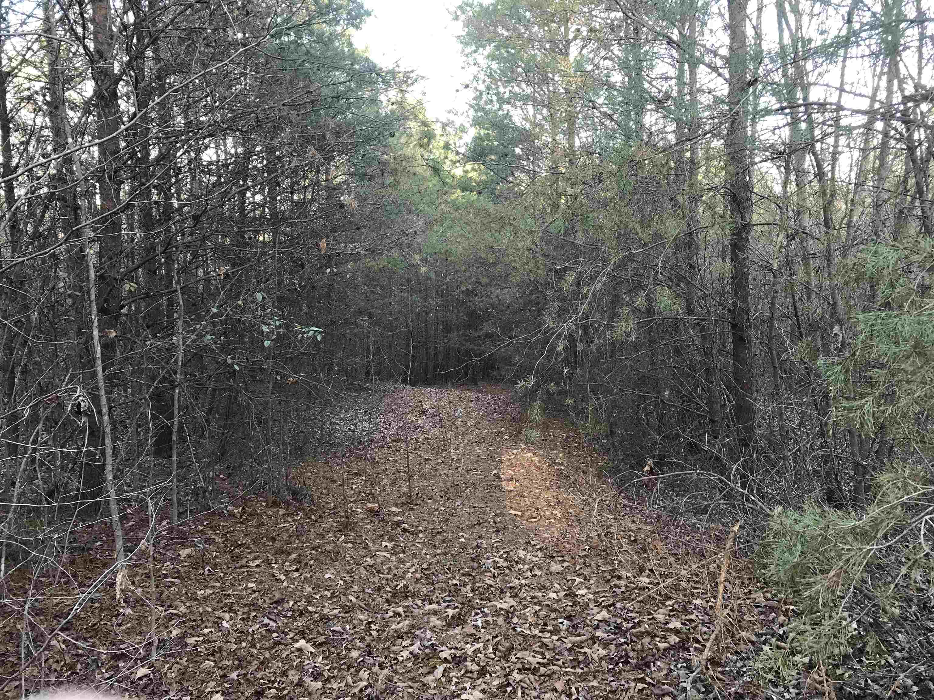0 Zion Church Road Pacolet, SC 29372 - Photo 8 of 16