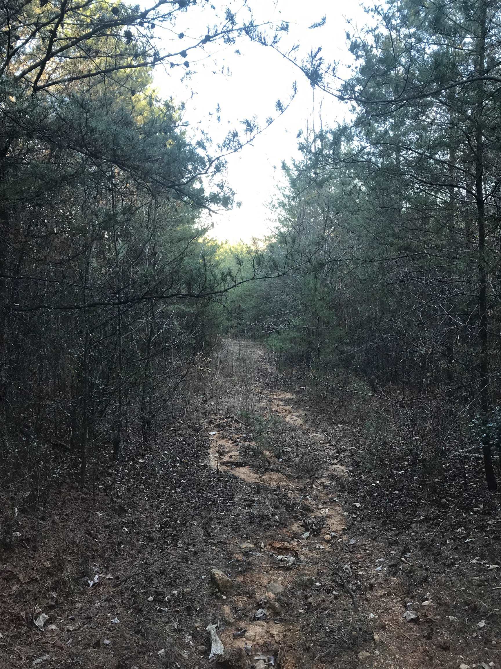 0 Zion Church Road Pacolet, SC 29372 - Photo 9 of 16