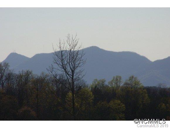0 Coxe Road, Unit 19 Rutherfordton, NC 28139 - Photo 11 of 23 a view of a dry yard