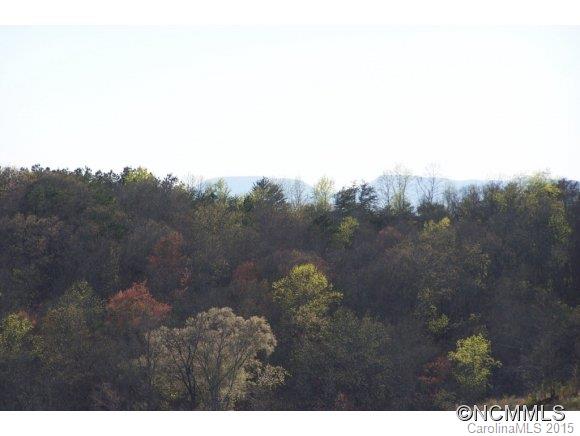 0 Coxe Road, Unit 19 Rutherfordton, NC 28139 - Photo 13 of 23 a view of a yard