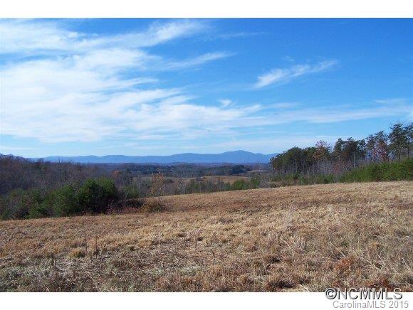 0 Coxe Road, Unit 19 Rutherfordton, NC 28139 - Photo 16 of 23 a view of an outdoor space and a yard