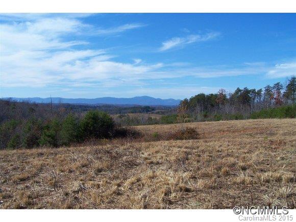 0 Coxe Road, Unit 19 Rutherfordton, NC 28139 - Photo 18 of 23 a view of a dry yard with trees