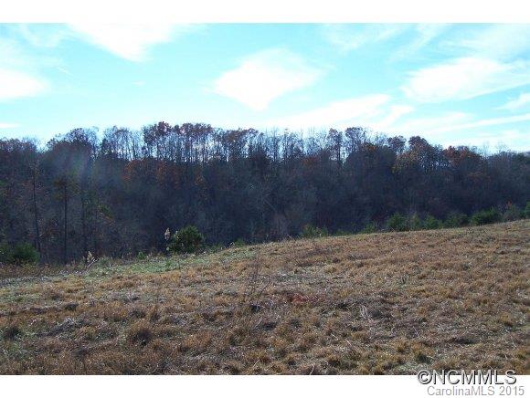 0 Coxe Road, Unit 19 Rutherfordton, NC 28139 - Photo 21 of 23 a view of a yard