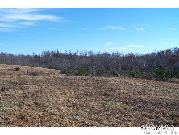 0 Coxe Road, Unit 19 Rutherfordton, NC 28139 - Photo 22 of 23 a view of a dry yard