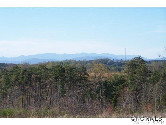 0 Coxe Road, Unit 19 Rutherfordton, NC 28139 - Photo 4 of 23 a view of a city with lush green forest