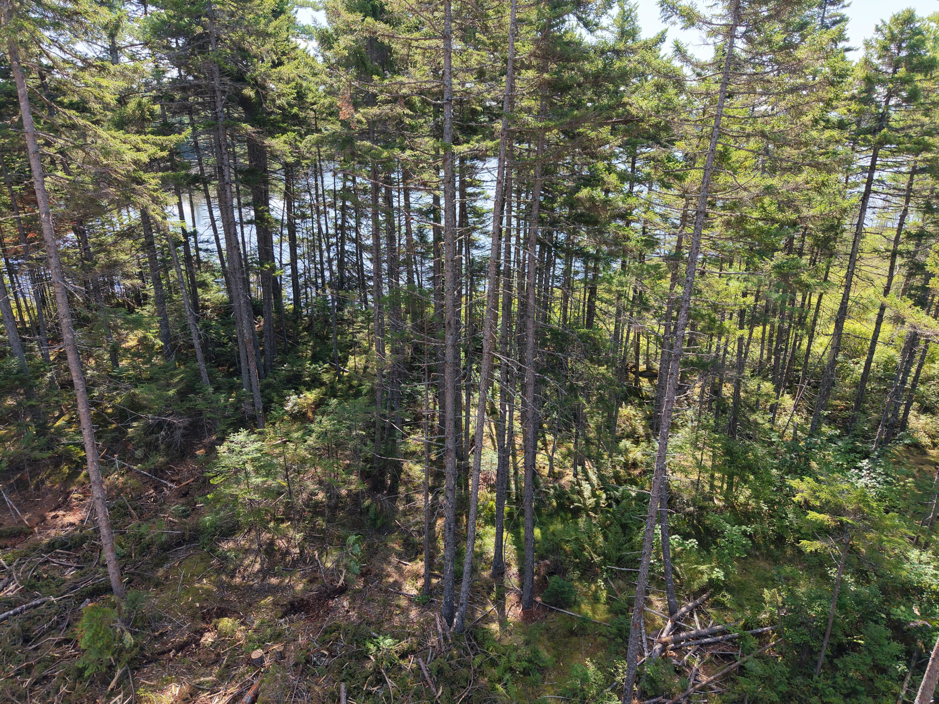 Ms03-l17.3 Middle Carry Pond Road New Portland, ME 04961 - Photo 17 of 25 DJI_20260821101637_0019_D