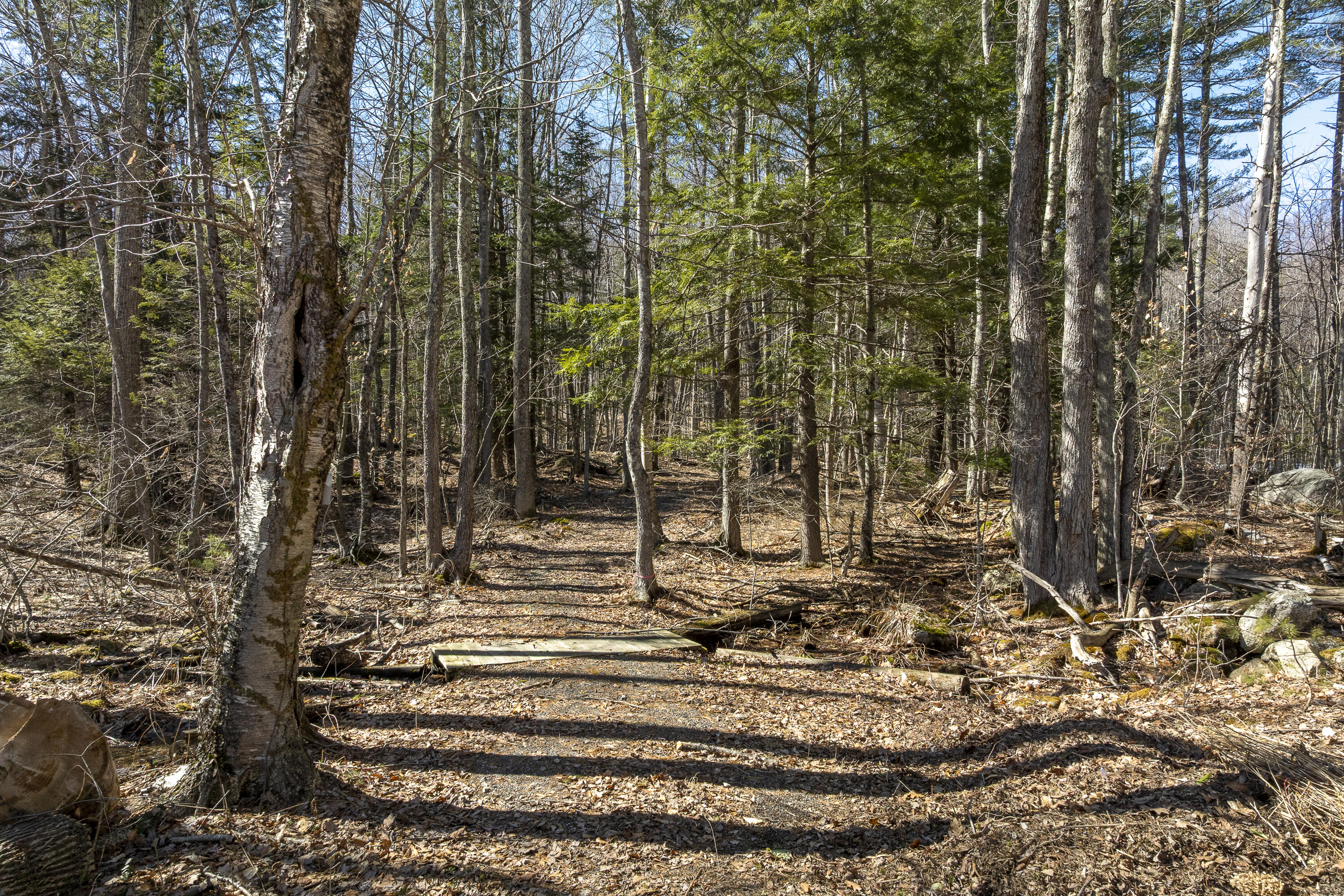 56 Cobbs Bridge Road New Gloucester, ME 04260 - Photo 97 of 119 27-56 Cobbs Bridge Rd, New Gloucester, M