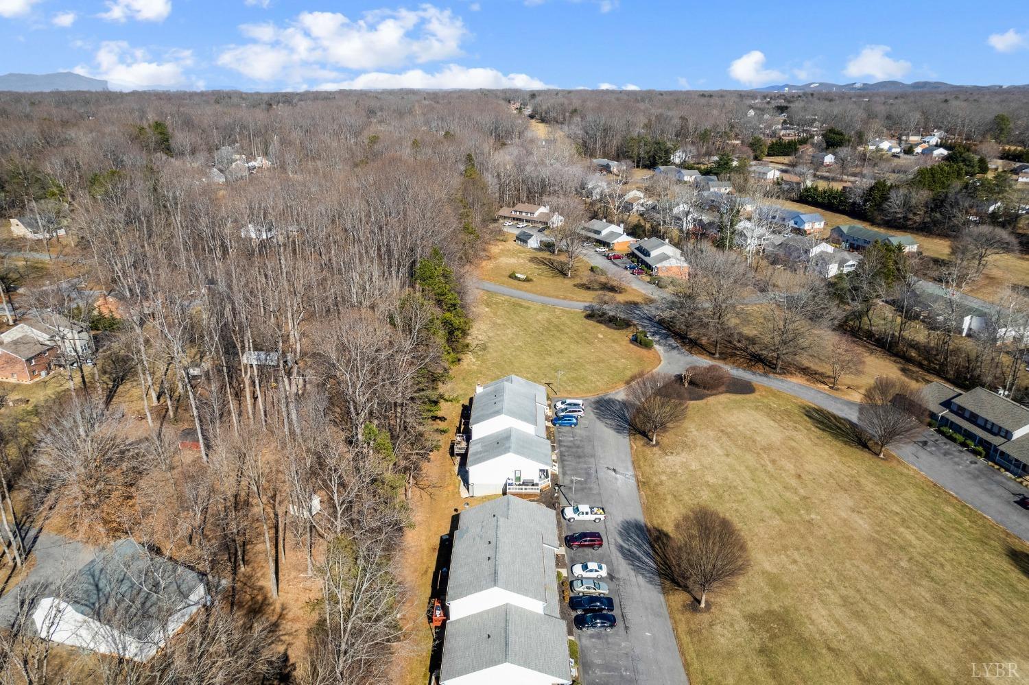 1001 Goose Ridge Drive Forest, VA 24551 - Photo 54 of 57 Gallery Image 54