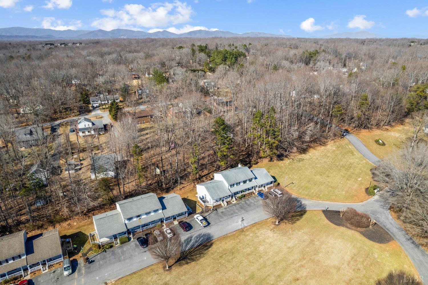 1001 Goose Ridge Drive Forest, VA 24551 - Photo 55 of 57 Gallery Image 55