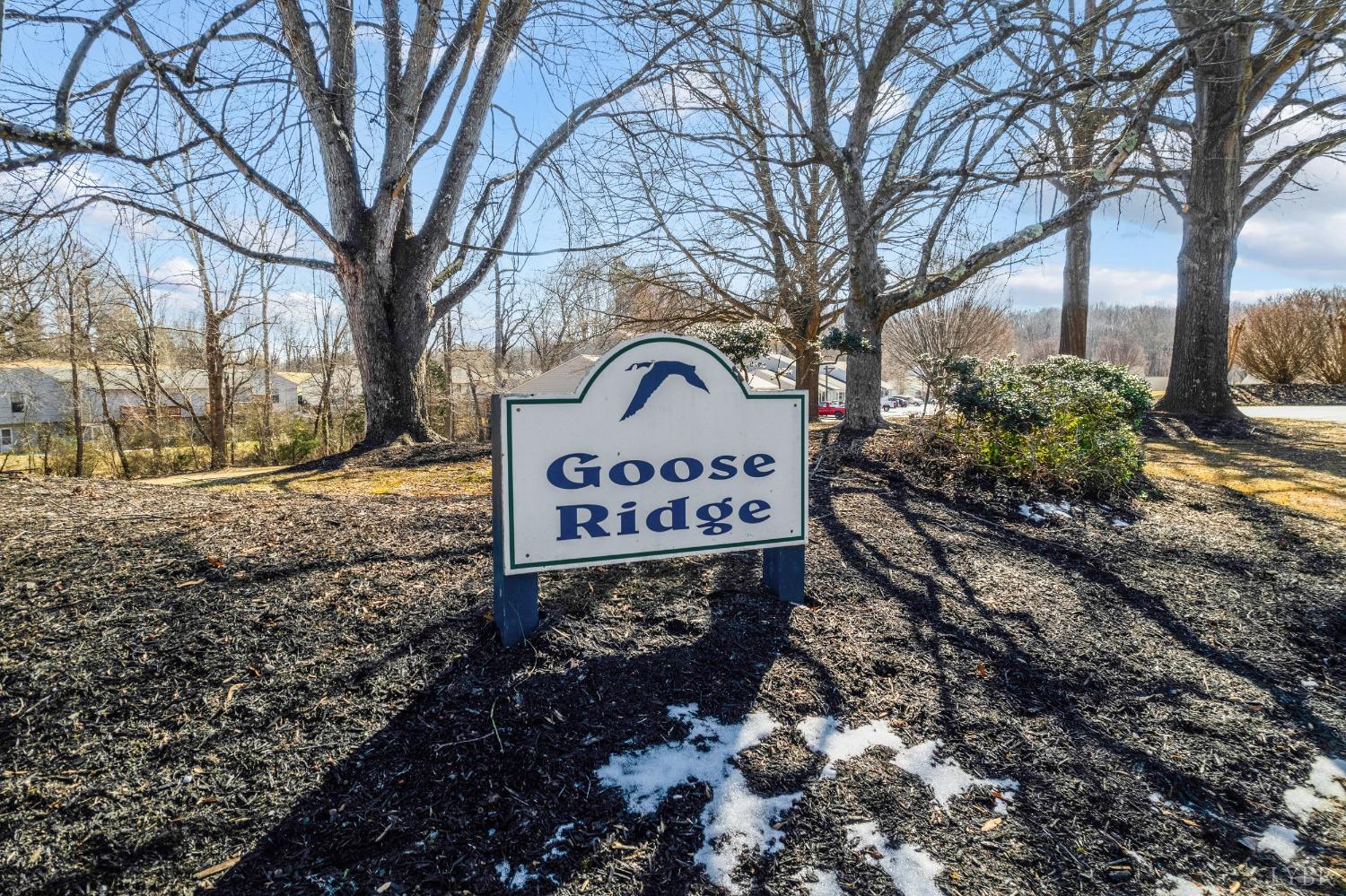 1001 Goose Ridge Drive Forest, VA 24551 - Photo 56 of 57 Gallery Image 56