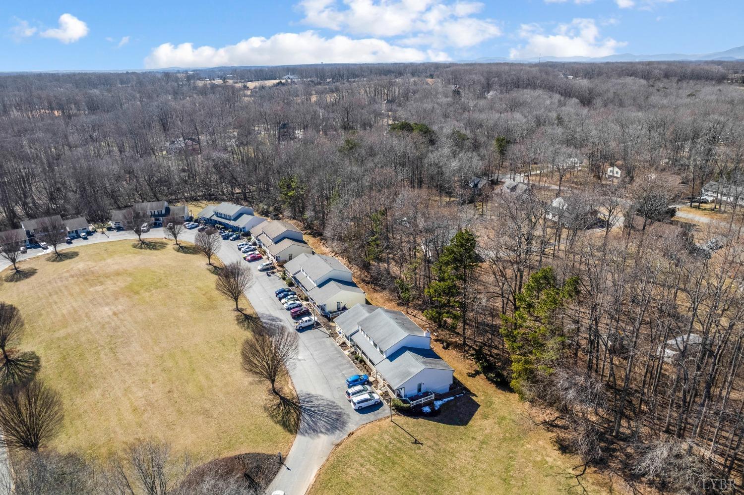 1001 Goose Ridge Drive Forest, VA 24551 - Photo 57 of 57 Gallery Image 57