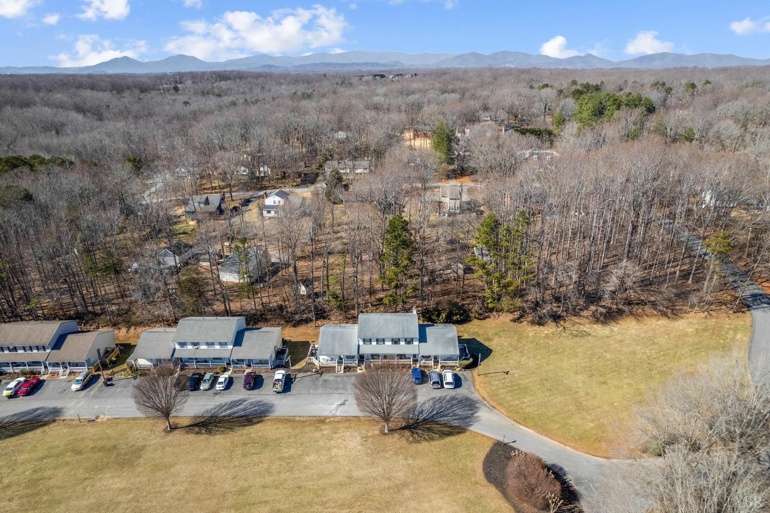 1001 Goose Ridge Drive Forest, VA 24551 - Photo 9 of 57 Gallery Image 9