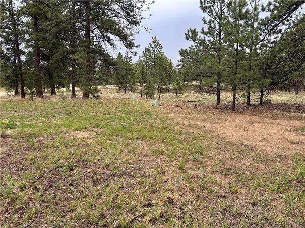 $189,000 | 120 Harness Way, Hartsel, CO 80449