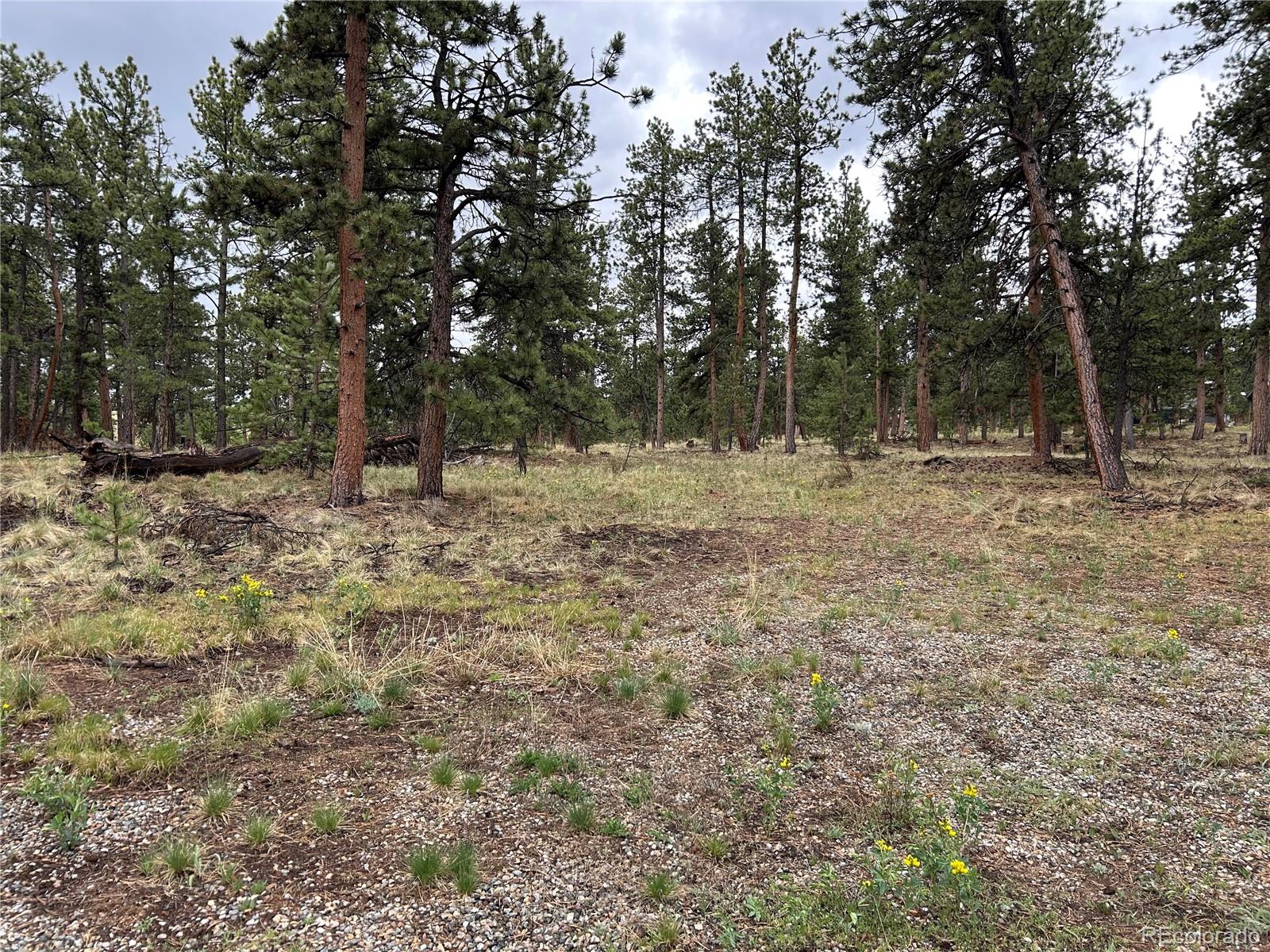 120 Harness Way Hartsel, CO 80449 - Photo 12 of 14