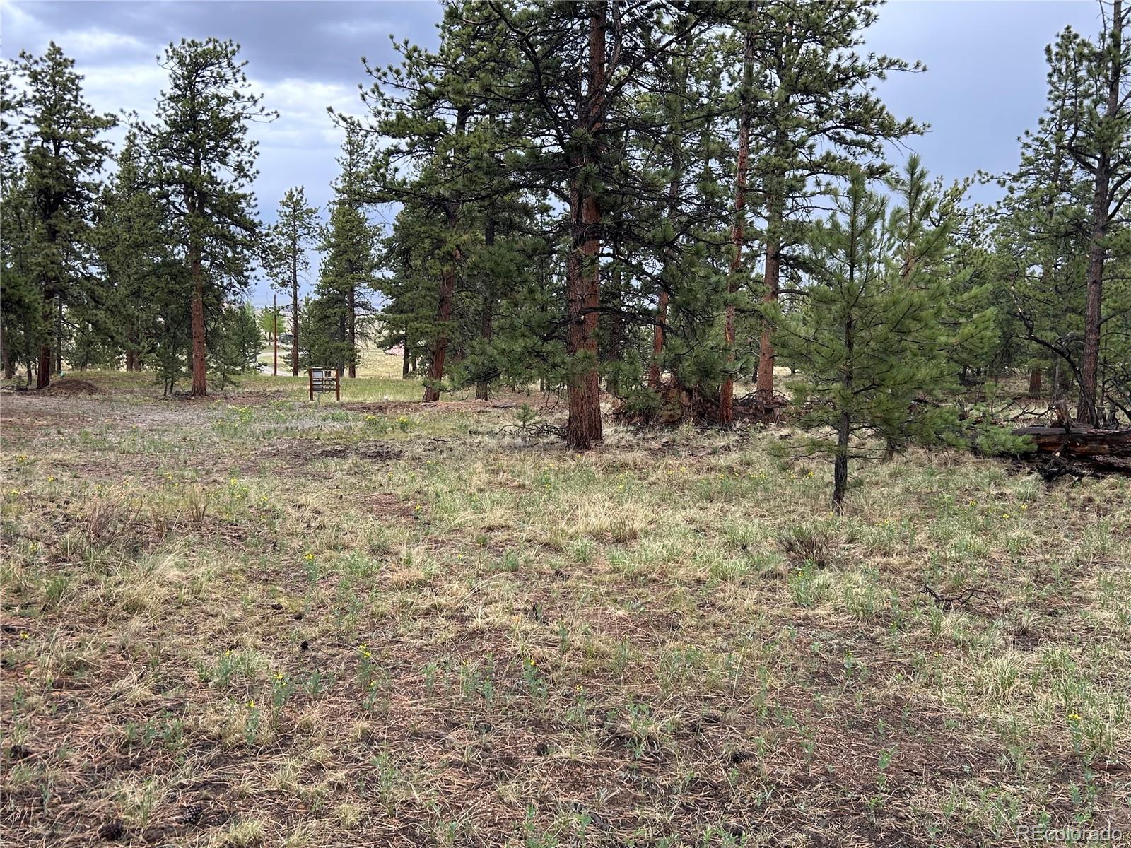 120 Harness Way Hartsel, CO 80449 - Photo 14 of 14