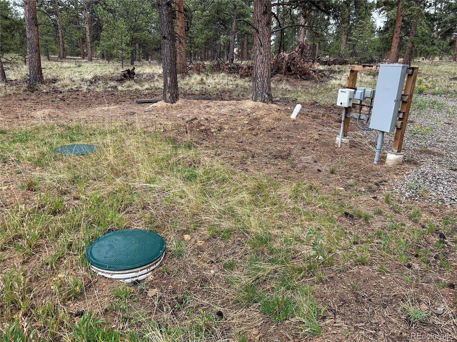 120 Harness Way Hartsel, CO 80449 - Photo 3 of 14