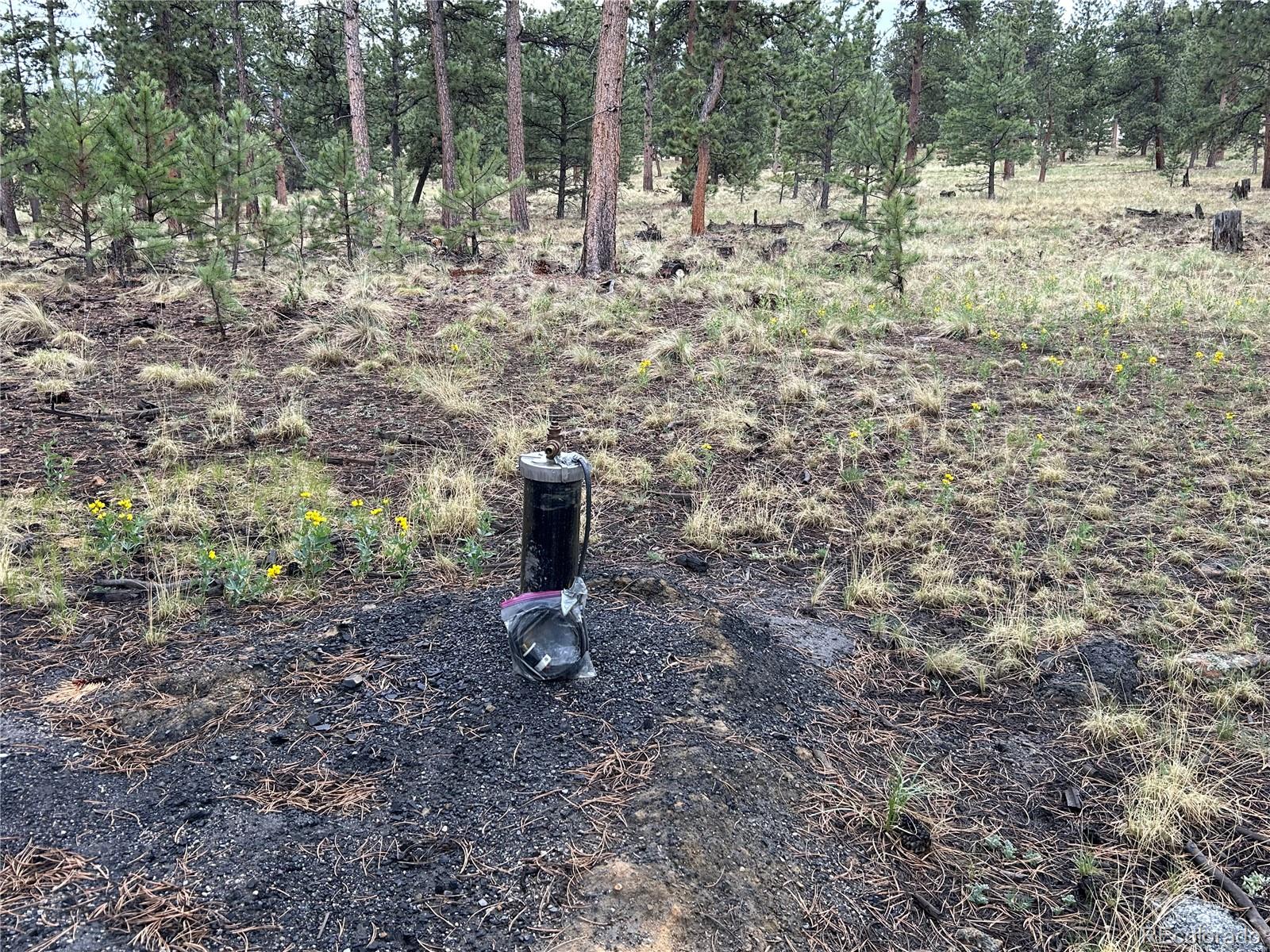 120 Harness Way Hartsel, CO 80449 - Photo 4 of 14