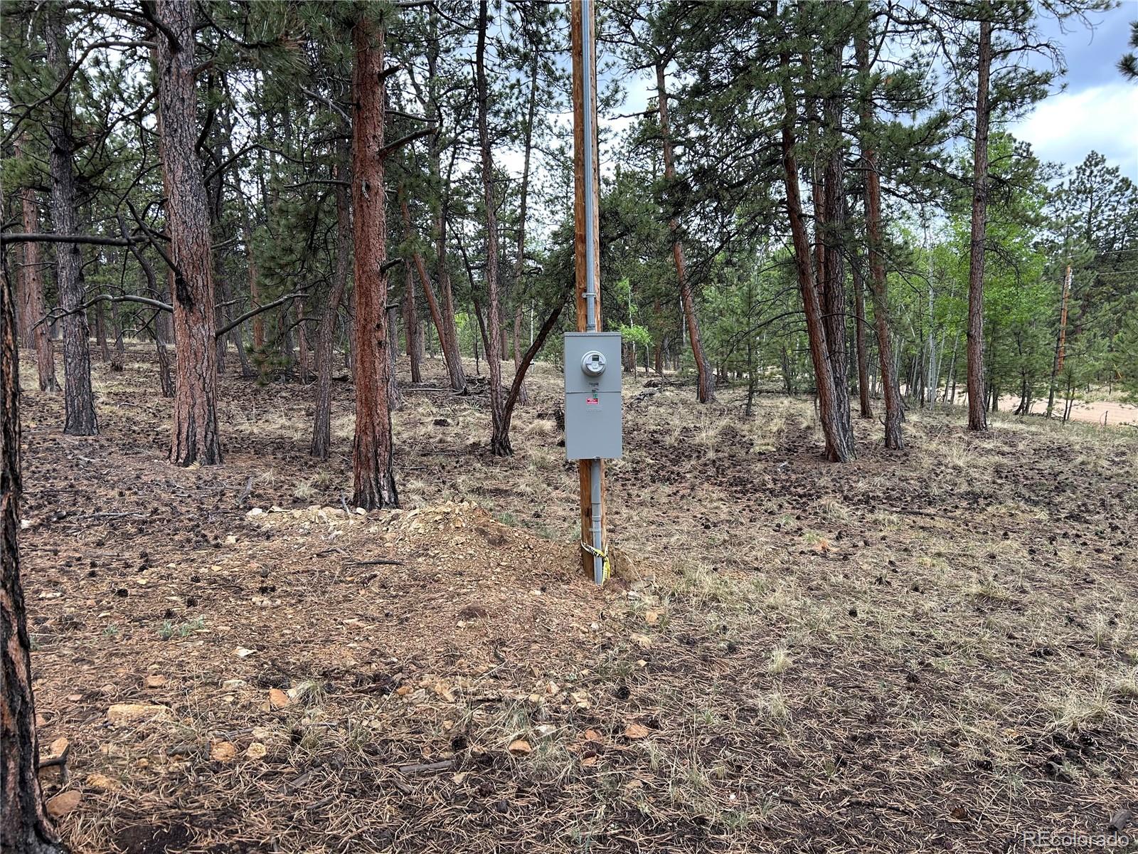 120 Harness Way Hartsel, CO 80449 - Photo 5 of 14