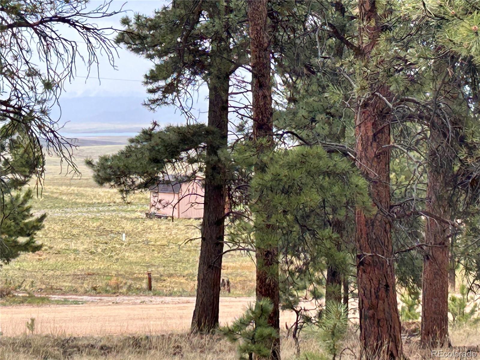 120 Harness Way Hartsel, CO 80449 - Photo 7 of 14