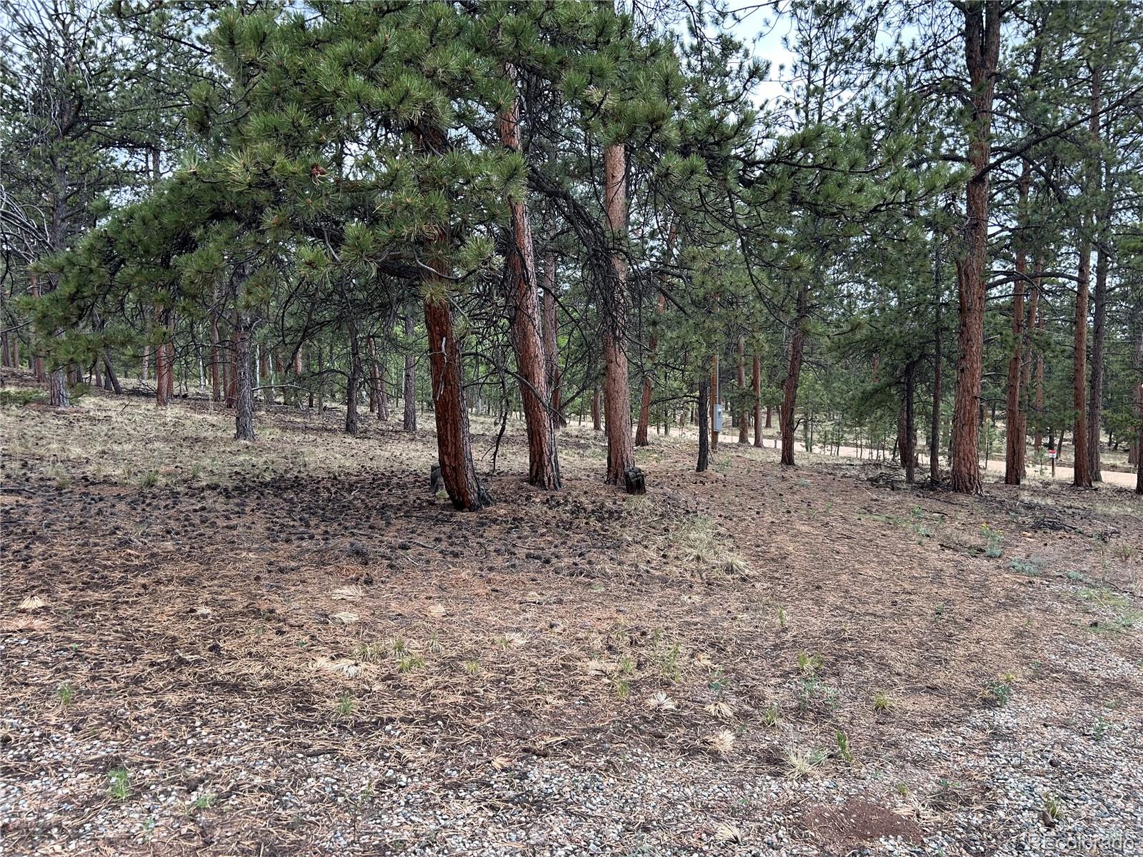 120 Harness Way Hartsel, CO 80449 - Photo 8 of 14