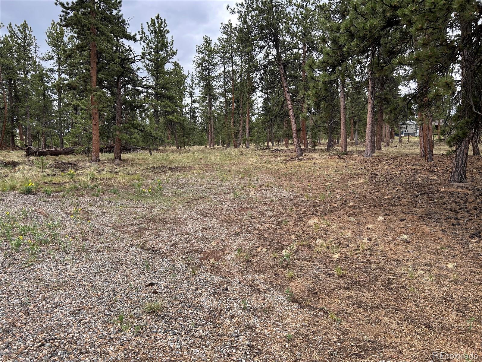 120 Harness Way Hartsel, CO 80449 - Photo 9 of 14