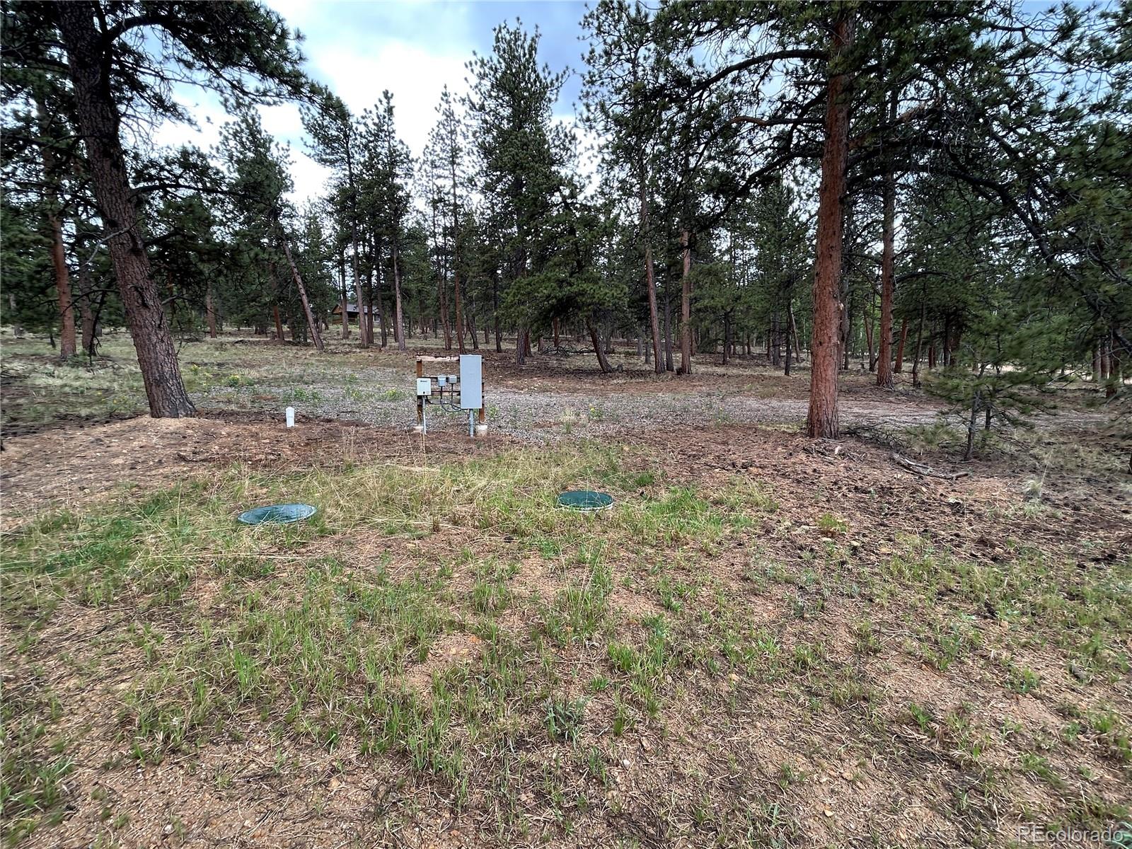 120 Harness Way Hartsel, CO 80449 - Photo 10 of 14